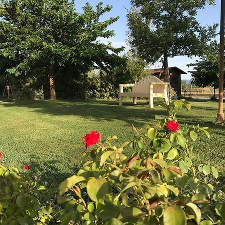 Country House Podere Le Rane Felici Fauglia Esterno foto