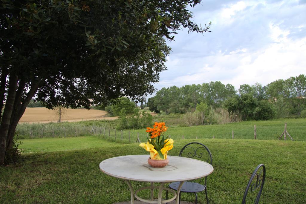 Country House Podere Le Rane Felici Fauglia Esterno foto