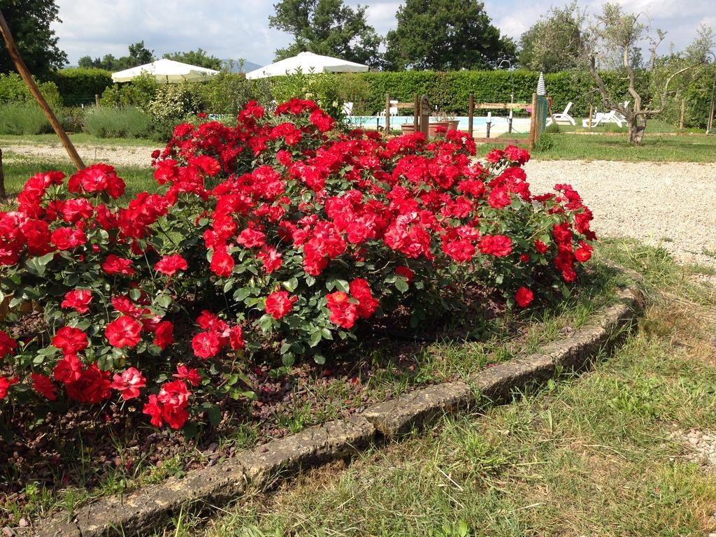 Country House Podere Le Rane Felici Fauglia Esterno foto